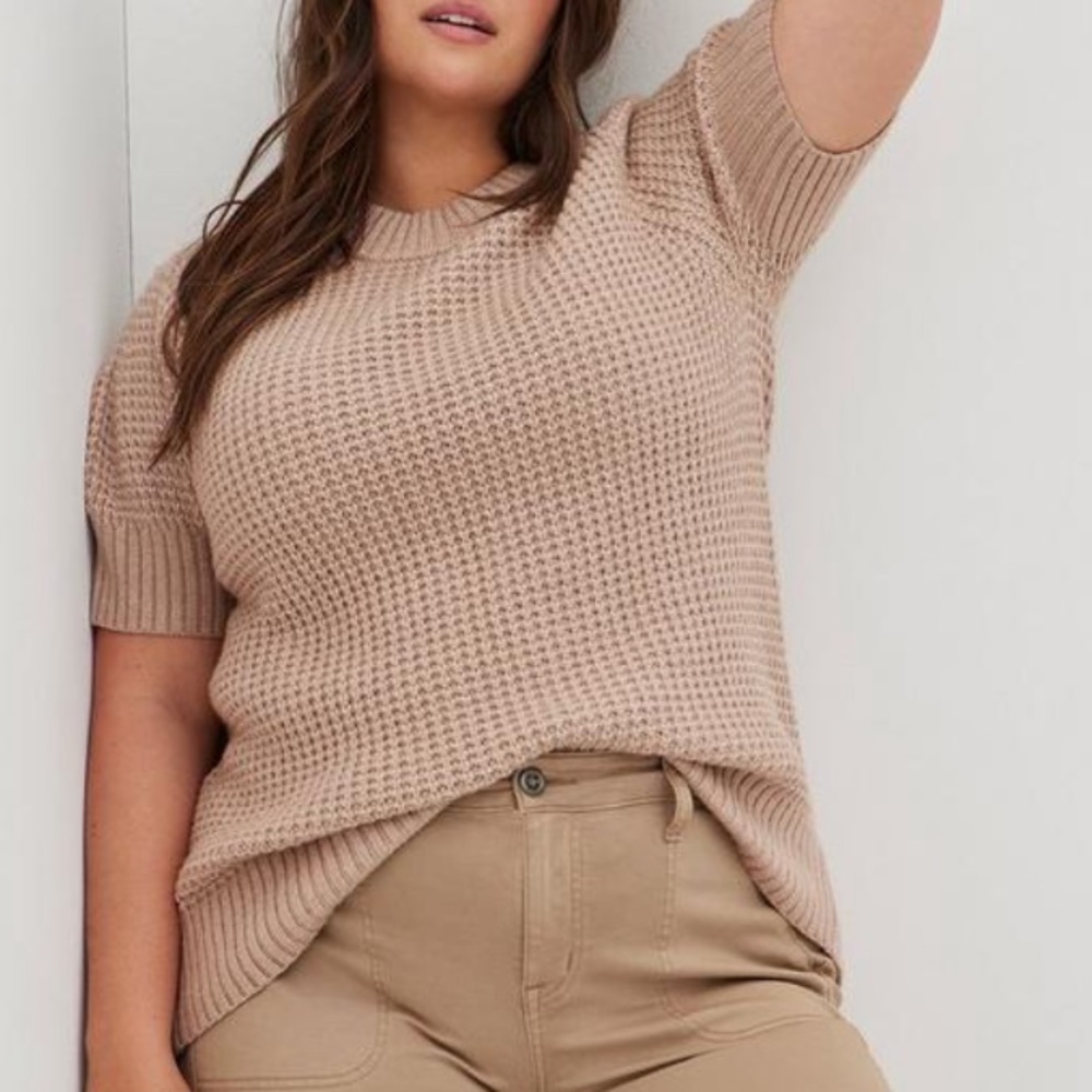 Torrid Chunky Pullover Short Sleeve Beige Sweater
